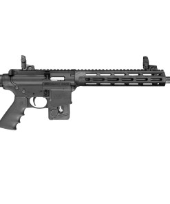 SMITH AND WESSON M&P15-22 PC SPORT 22LR 10+1