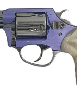 CHARTER ARMS CHARTER CHIC LADY 38SPC LAV/SS