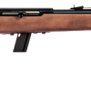 SAVAGE ARMS 64 SEMI-AUTO 22LR BL/WD 10+1