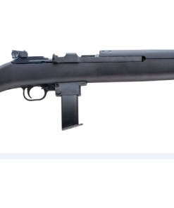 CHIAPPA FIREARMS M1-22 CARBINE 22LR BL/PLY 10RD