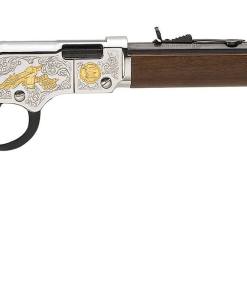 HENRY REPEATING ARMS H4 2ND AMENDMENT 22LR