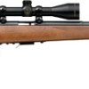 SAVAGE ARMS 93 BOLT 17HMR BL/WD HVBBL PKG