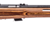SAVAGE ARMS MARK II BOLT 22LR BL/LAM TH  #