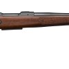 CZ 600 PLUS AMER 243WIN BL/WD TB