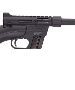 HENRY REPEATING ARMS H2 US SURVIVAL RIFLE 22LR BLK