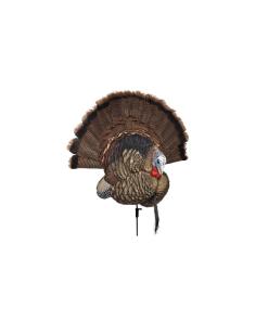 Avian-X Trophy Tom Turkey Decoy