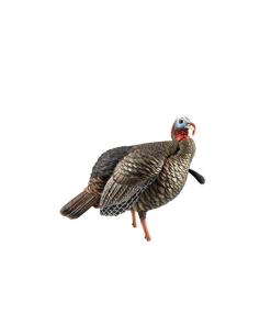 Avian-X HDR Jake Decoy