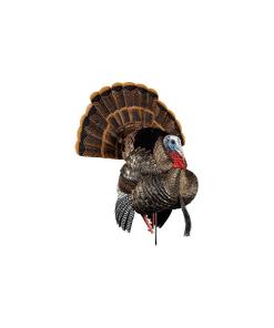 Avian-X HDR Strutter
