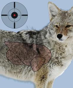 Birchwood Casey Pregame Targets - Coyote 16.5"x24" 3 Pack