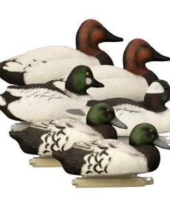 Higdon Outdoors Battleship Diver Pk 2 Bluebills 2 Canvasbacks 1 Bufflehead 1 Goldeneye
