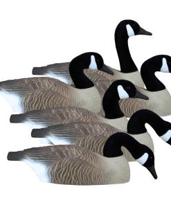 Higdon Outdoors Full Size Half Shell Canada 6pk