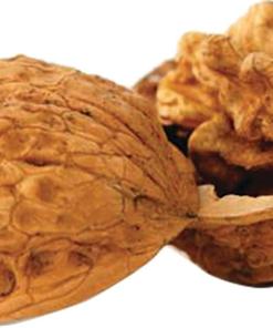 Berry's Walnut Media 8 lb. Box