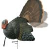 Primos Killer B Turkey Decoy