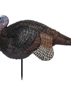 Primos Lil Gobstopper Jake Turkey Decoy