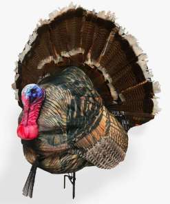 Montana Decoy Co. Wiley Tom 3D Decoy Full Strutting