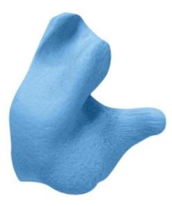 Radians Custom Molded Ear Plugs