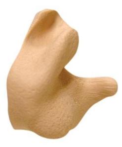 Radians Custom Molded Ear Plugs