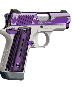 KIMBER MICRO AMETHYST 380ACP 2.75" NS