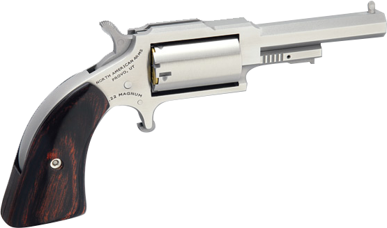 NORTH AMERICAN ARMS SHERIFF 22LR/22MAG 2.5" SS 5SH