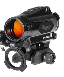 SIG SAUER ROMEO4XT-PRO RDS CIRCLEDOT BLK