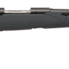 SAVAGE ARMS 110 HUNTER 223REM BL/SYN 22" #