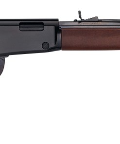 HEN FRONTIER LVR 17HMR
