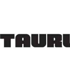 TAURUS GX4 9MM BLK/BRN 3" 11+1 4 MAGS