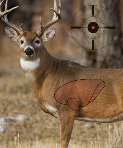 Birchwood Casey Pregame Targets - Deer 16.5"x24" 3 Pack