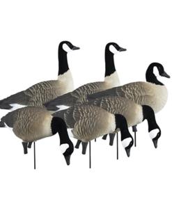 Higdon Outdoors APEX Full-Size Full-Body Variety Pack - Canada Goose